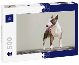 Lais Puzzle - Englischer Bullterrier - 500 Teile