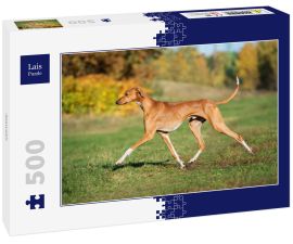 Lais Puzzle - Azawakh - 500 Teile
