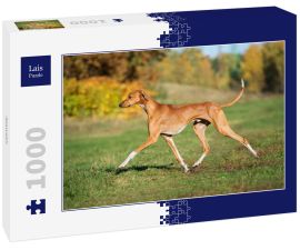 Lais Puzzle - Azawakh - 1.000 Teile