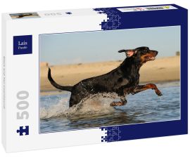 Lais Puzzle - Black and Tan Coonhound - 500 Teile