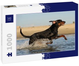 Lais Puzzle - Black and Tan Coonhound - 1.000 Teile