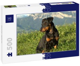 Lais Puzzle - Deutscher Jagdterrier - 500 Teile