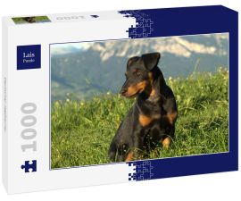 Lais Puzzle - Deutscher Jagdterrier - 1.000 Teile