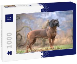 Lais Puzzle - Bayerischer Gebirgsschweisshund - 1.000 Teile