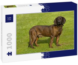 Lais Puzzle - Hannoverscher Schweißhund - 1.000 Teile