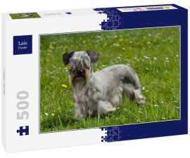 Lais Puzzle - Cesky Terrier - 500 Teile