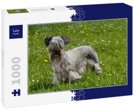 Lais Puzzle - Cesky Terrier - 1.000 Teile