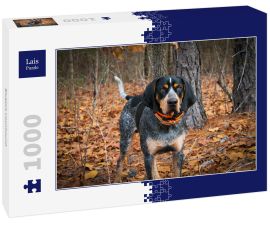 Lais Puzzle - Bluetick Coonhound - 1.000 Teile