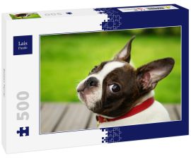 Lais Puzzle - Boston Terrier - 500 Teile