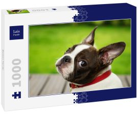 Lais Puzzle - Boston Terrier - 1.000 Teile