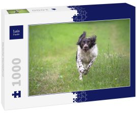 Lais Puzzle - Deutscher Wachtelhund - 1.000 Teile