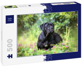 Lais Puzzle - Cane Corso - 500 Teile