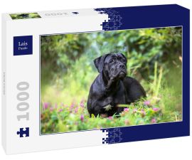 Lais Puzzle - Cane Corso - 1.000 Teile