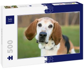 Lais Puzzle - English Foxhound - 500 Teile