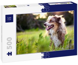 Lais Puzzle - Australian Shepherd - 500 Teile