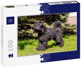 Lais Puzzle - Bouvier des Flandres - 100 Teile