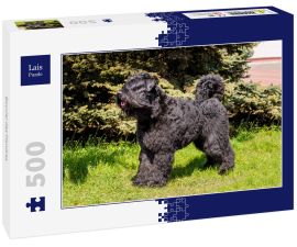 Lais Puzzle - Bouvier des Flandres - 500 Teile