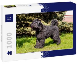 Lais Puzzle - Bouvier des Flandres - 1.000 Teile