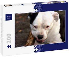 Lais Puzzle - Amerikanischer Pitbull-Terrier - 200 Teile
