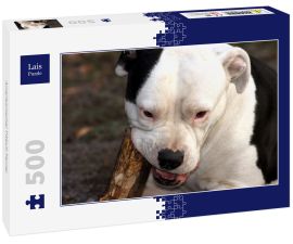 Lais Puzzle - Amerikanischer Pitbull-Terrier - 500 Teile