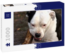 Lais Puzzle - Amerikanischer Pitbull-Terrier - 1.000 Teile