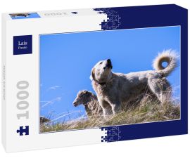 Lais Puzzle - Akbash mit Schaf - 1.000 Teile