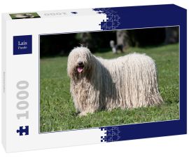 Lais Puzzle - Komondor - 1.000 Teile