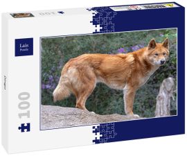 Lais Puzzle - Dingo - 100 Teile
