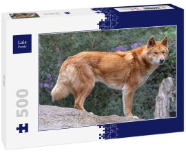 Lais Puzzle - Dingo - 500 Teile