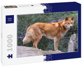 Lais Puzzle - Dingo - 1.000 Teile