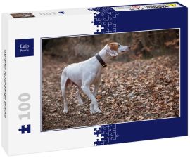 Lais Puzzle - Istrianer Kurzhaarige Bracke - 100 Teile