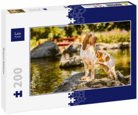 Lais Puzzle - Bracco Italiano - 200 Teile