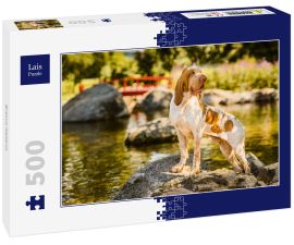 Lais Puzzle - Bracco Italiano - 500 Teile