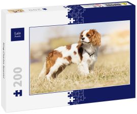 Lais Puzzle - King Charles Spaniel - 200 Teile