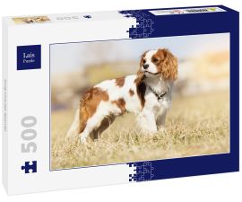 Lais Puzzle - King Charles Spaniel - 500 Teile
