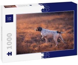 Lais Puzzle - Deutsch Kurzhaar - 1.000 Teile