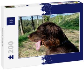 Lais Puzzle - Deutsch Langhaar - 200 Teile