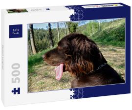 Lais Puzzle - Deutsch Langhaar - 500 Teile