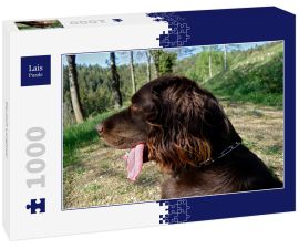 Lais Puzzle - Deutsch Langhaar - 1.000 Teile