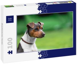 Lais Puzzle - Brasilianischer Terrier - 100 Teile