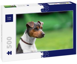 Lais Puzzle - Brasilianischer Terrier - 500 Teile