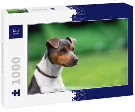 Lais Puzzle - Brasilianischer Terrier - 1.000 Teile