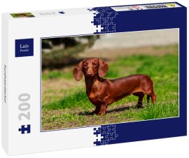Lais Puzzle - Kurzhaardackel - 200 Teile