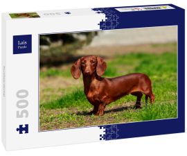 Lais Puzzle - Kurzhaardackel - 500 Teile