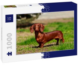 Lais Puzzle - Kurzhaardackel - 1.000 Teile
