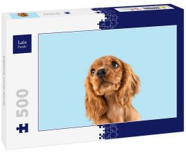 Lais Puzzle - Englischer Cocker Spaniel - 500 Teile