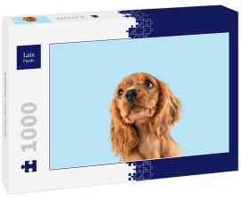Lais Puzzle - Englischer Cocker Spaniel - 1.000 Teile