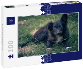 Lais Puzzle - Kroatischer Schäferhund - 100 Teile