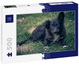 Lais Puzzle - Kroatischer Schäferhund - 500 Teile