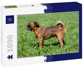 Lais Puzzle - Petit Brabancon - 1.000 Teile